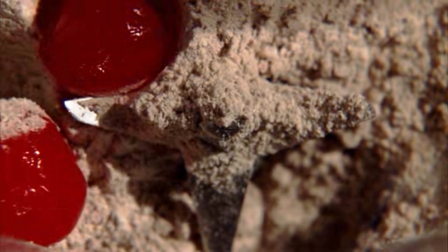 File:2x01 JivamalaBlenderCherries.png