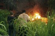 Beechcraftburns2x10.jpg