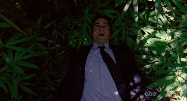 File:800px-5x06 Im alive.png
