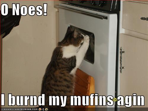 File:Burnedmuffins.jpg