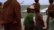 Chinaman's Hat.jpg