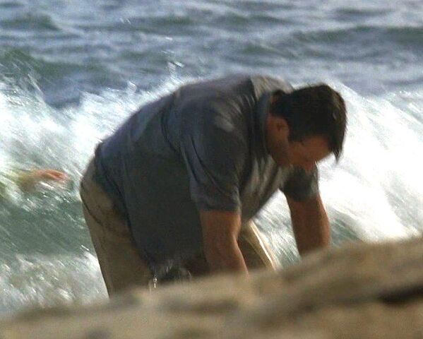 File:Grayshirt.jpg