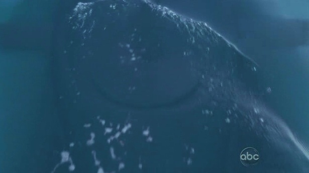 File:Wid-sub.jpg