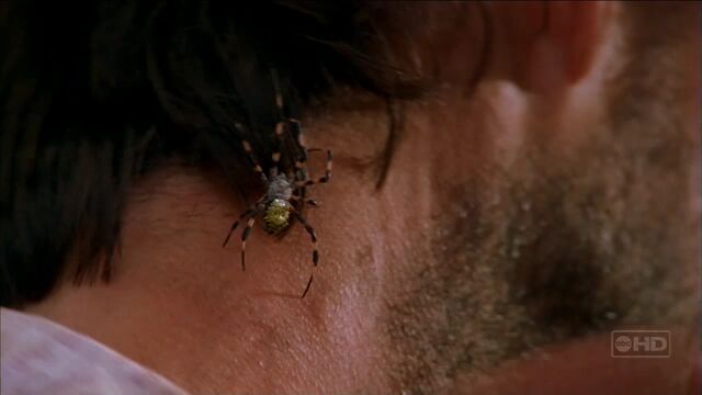 File:Medusa bite.jpg