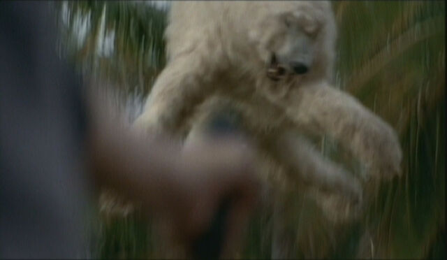 Archivo:BearLaunchFreeze.jpg