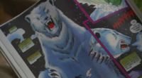 Orso2.jpg