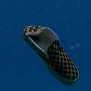 3x21-charlies-shoe.jpg