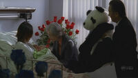 Chineseambassadorpanda.jpg