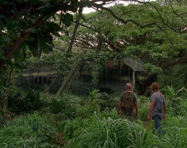File:Sawyer and Locke.jpg