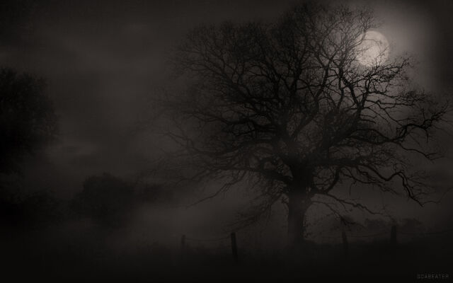 File:Creepy Tree.jpg