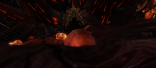Nushi death