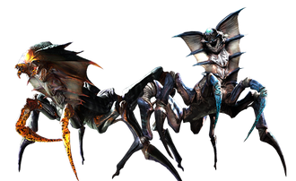 Wardeye Female and Male