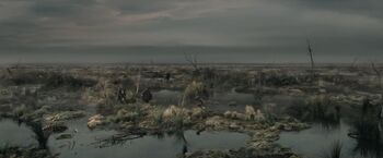 Dead-marshes