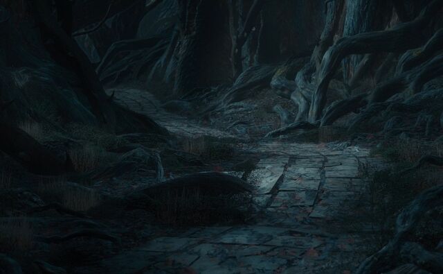 File:Forest Path1.jpg