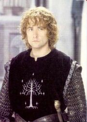 Pippin-soldat.jpg