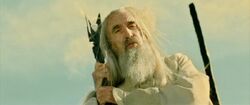 Lego-lord-of-the-rings-treebeard-i17.jpg