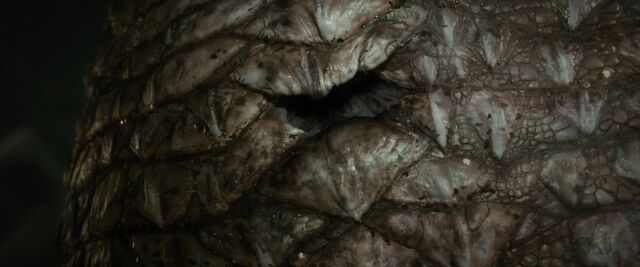 File:Ss hobbit-smaug-06.jpg