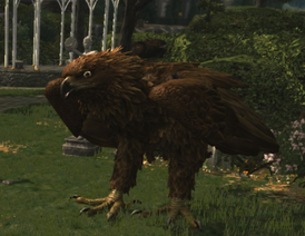 Armenel.png