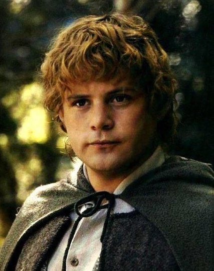 sam carrying frodo png sam carrying frodo png