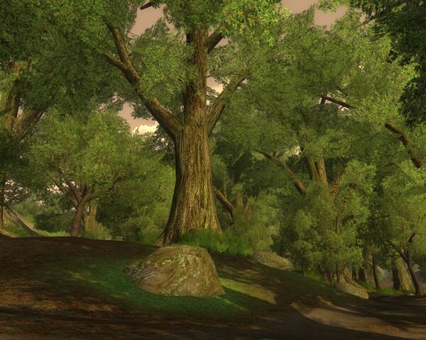 File:Chetwood.jpg
