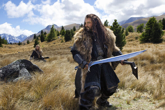 File:Thorin battle stance.jpg