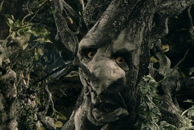File:Birch ent.png