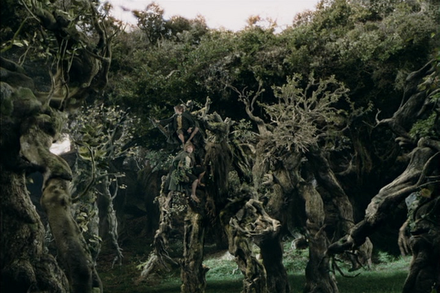 File:Many ents.png