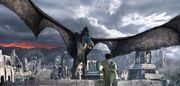Nazgul-drache.jpg