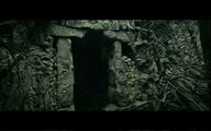 Rotkimage08-cb57565.jpg