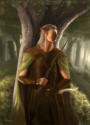 Wood elf wizard