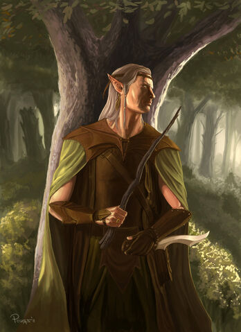 File:Wood elf wizard.jpg