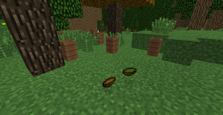 Ent Drought
