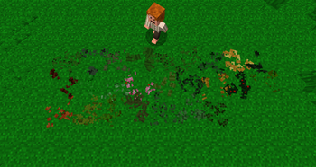 All Fallen Leaves
