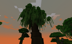 DensefarJungle