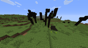 Charred Trees