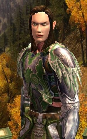 File:Elfmale.jpg