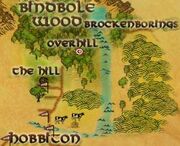 OthoBroadbelt