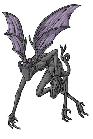 File:Nightgaunt.jpg