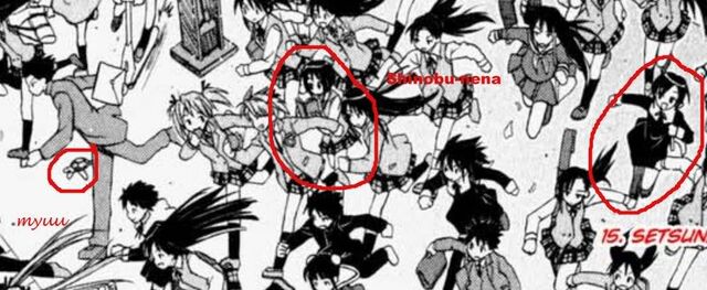File:Shinobu cameo closeup.jpg