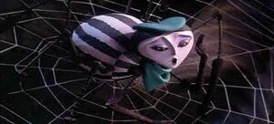 Spider