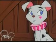 Rebecca 101 Dalmatians