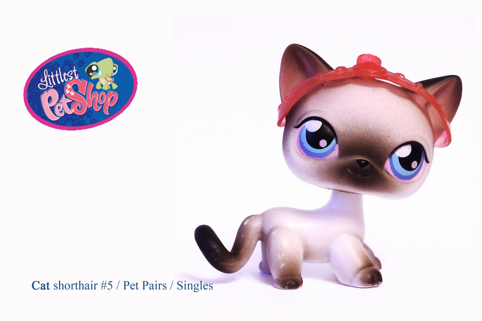 005-siamese-cat-littlest-pet-shop-wiki-fandom-powered-by-wikia