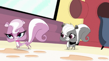 Mitzi runs