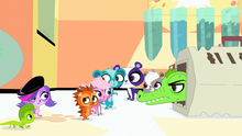 Pets meet Wiggles