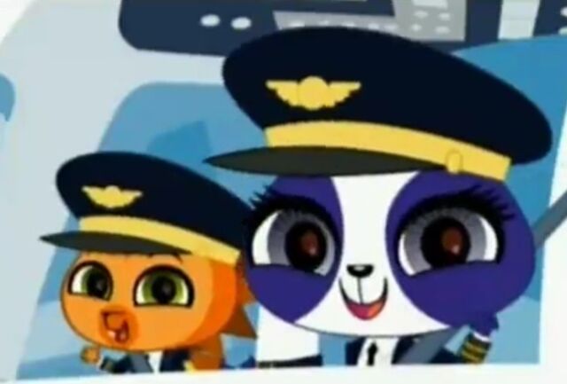 File:Airplane .jpg