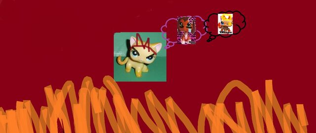 File:Brook is mad.jpg