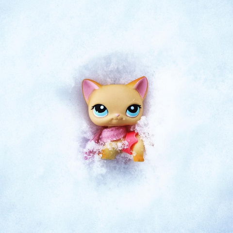 File:Instacuteness6.png