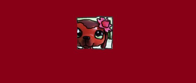 File:COOOOOOOOOOOOOOL!!!!!!!!!!!!!.jpg