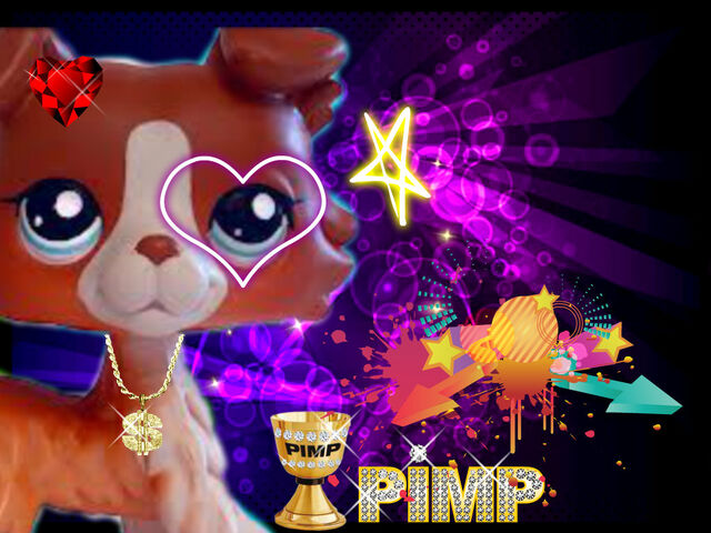 File:Pizap.com13738143021441.jpg