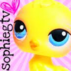 Sfjbrev s